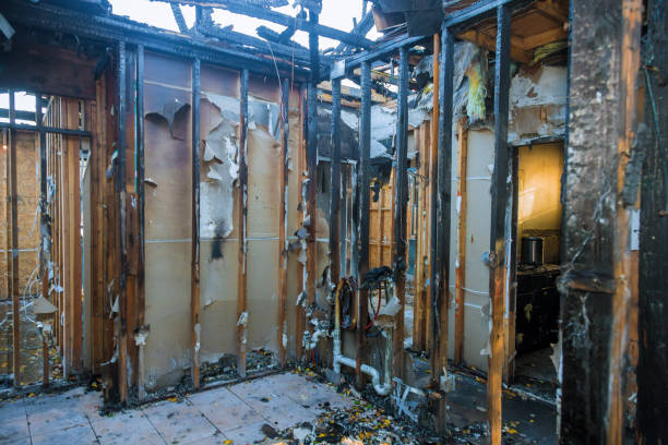 Professional Fire Damage Removal technician working in Hawaiian Paradise Park, HI